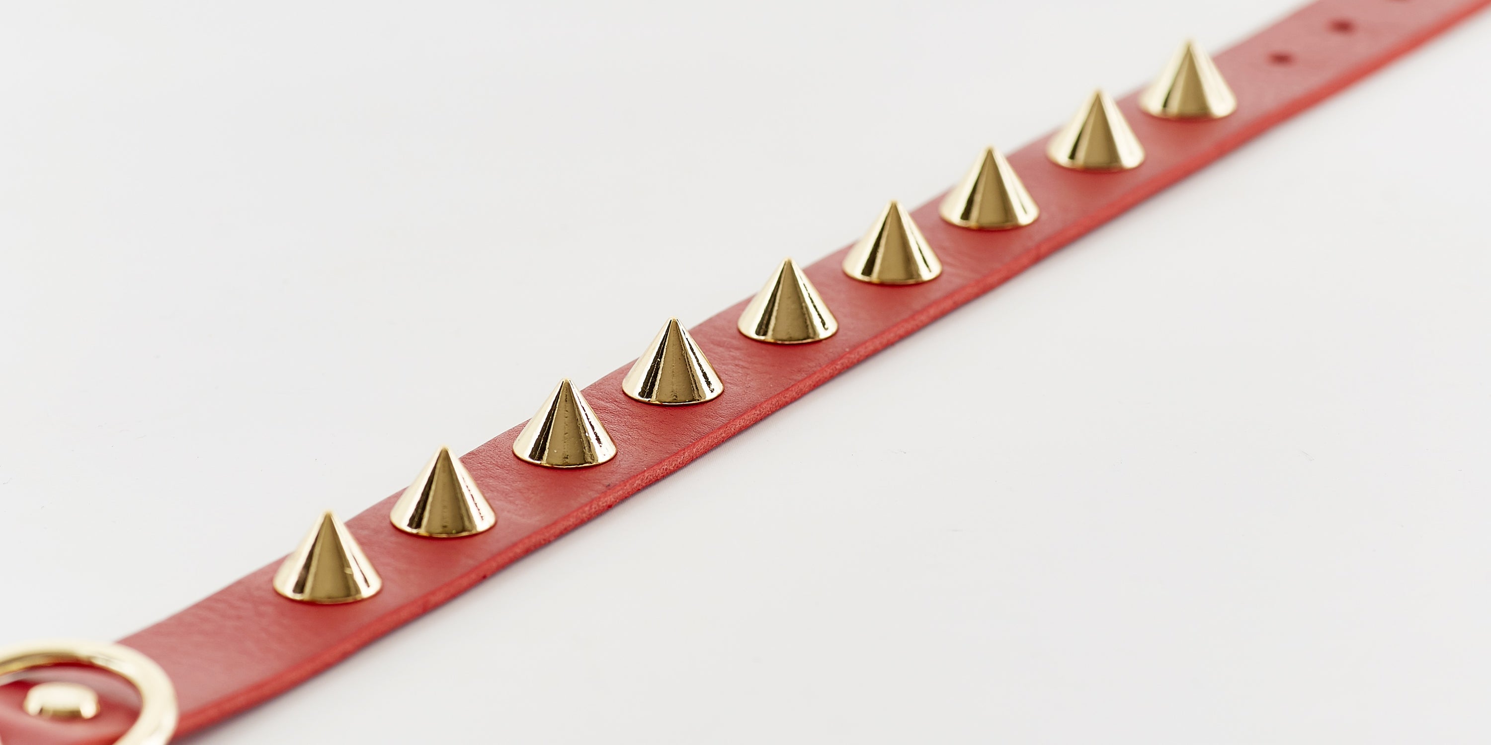 Golden Spike Red Collar